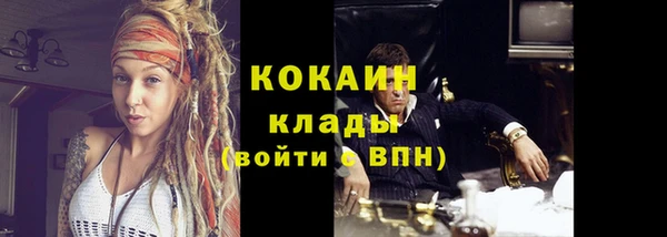кокс Белокуриха